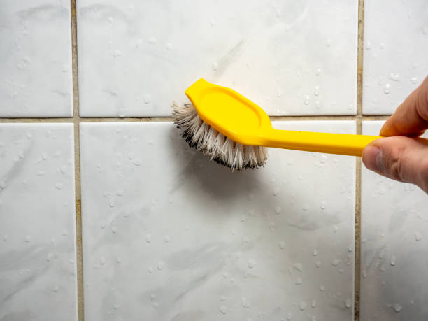 Best Best Mold Removal Companies  in Mante, CA