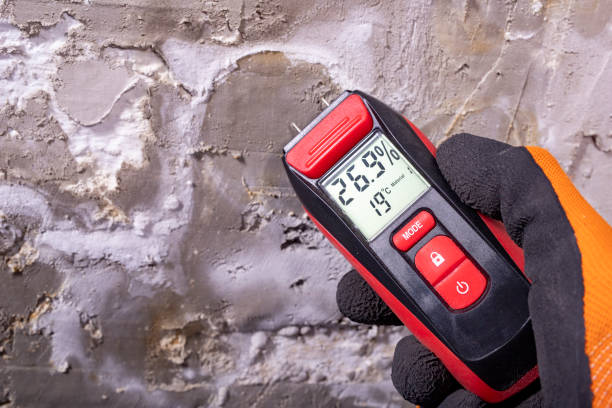 Best Mold Testing  in Mante, CA