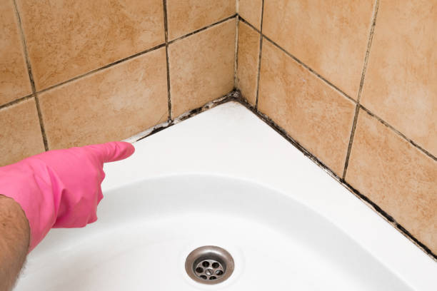 Best Residential Mold Removal  in Mante, CA